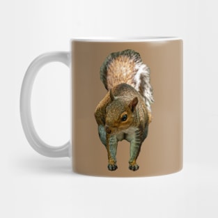 Grey Squirrel Mug